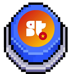 stvietnam partner